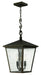 1432RB - Trellis Large Hanging Lantern by Hinkley Lighting