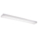 Drop Lens Fluorescent Two Light Flush Mount in White