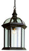 4183 RT- Wentworth 1-Light Hanging Lantern in Rust with Clear Beveled Glass by Trans Globe Lighting