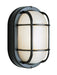 41005 BK- Aria 1-Light Bulkhead in Black with Ribbed Frosted Glass by Trans Globe Lighting