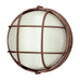 41515 RT- Aria 1-Light Bulkhead in Rust with Ribbed Frosted Glass by Trans Globe Lighting