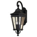 Cotswold Lane Three Light Outdoor Fixture in Black