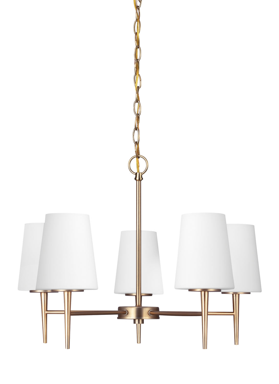 Driscoll Five Light Chandelier in Satin Brass