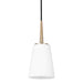 Driscoll One Light Mini-Pendant in Satin Brass