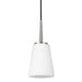 Driscoll One Light Mini-Pendant in Brushed Nickel