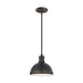 Pratt Street Metal One Light Pendant in Autumn Bronze