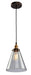 AC10166- Greenwich Pendant in Bronze & Copper by Artcraft