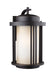 Crowell One Light Outdoor Wall Lantern in Antique Bronze