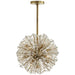 Dickinson 13 Light Chandelier in Soft Brass