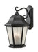 Martinsville Four Light Outdoor Wall Lantern in Black