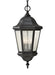 Martinsville Three Light Outdoor Pendant in Black