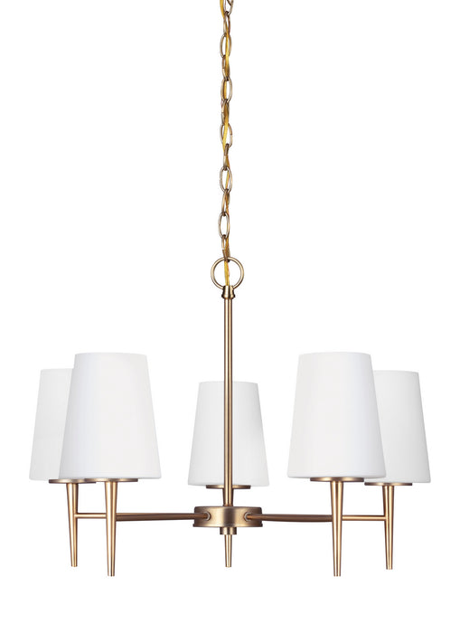 Driscoll Five Light Chandelier in Satin Brass