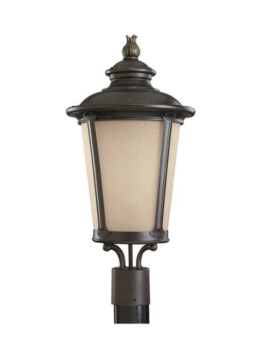 Cape May One Light Outdoor Post Lantern in Burled Iron