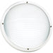 Bayside One Light Outdoor Wall / Ceiling Mount in White