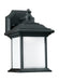 Wynfield One Light Outdoor Wall Lantern in Black