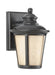 Cape May One Light Outdoor Wall Lantern in Burled Iron