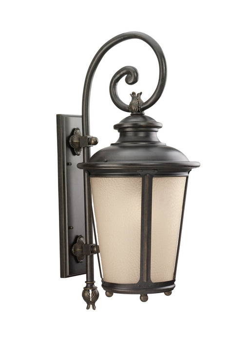 Cape May One Light Outdoor Wall Lantern in Burled Iron