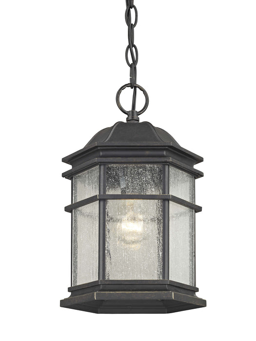 9232-68- Barlow Outdoor Hanging Fixture in Winchester with Seedy Glass by Dolan Designs