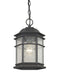 9232-68- Barlow Outdoor Hanging Fixture in Winchester with Seedy Glass by Dolan Designs