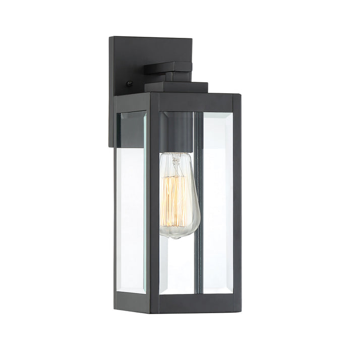 Westover 1-Light Outdoor Lantern