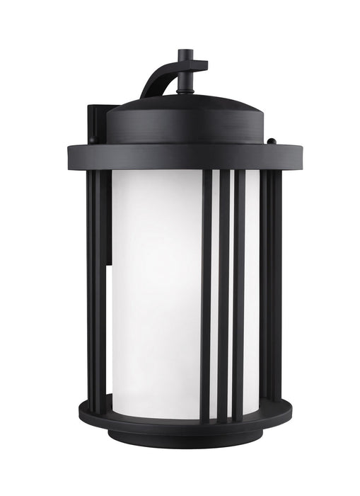 Crowell One Light Outdoor Wall Lantern in Black