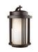 Crowell One Light Outdoor Wall Lantern in Antique Bronze