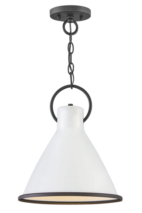 3557PT - Winnie Small Pendant by Hinkley Lighting