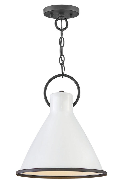 3557PT - Winnie Small Pendant by Hinkley Lighting