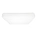 Vitus LED Flush Mount in White