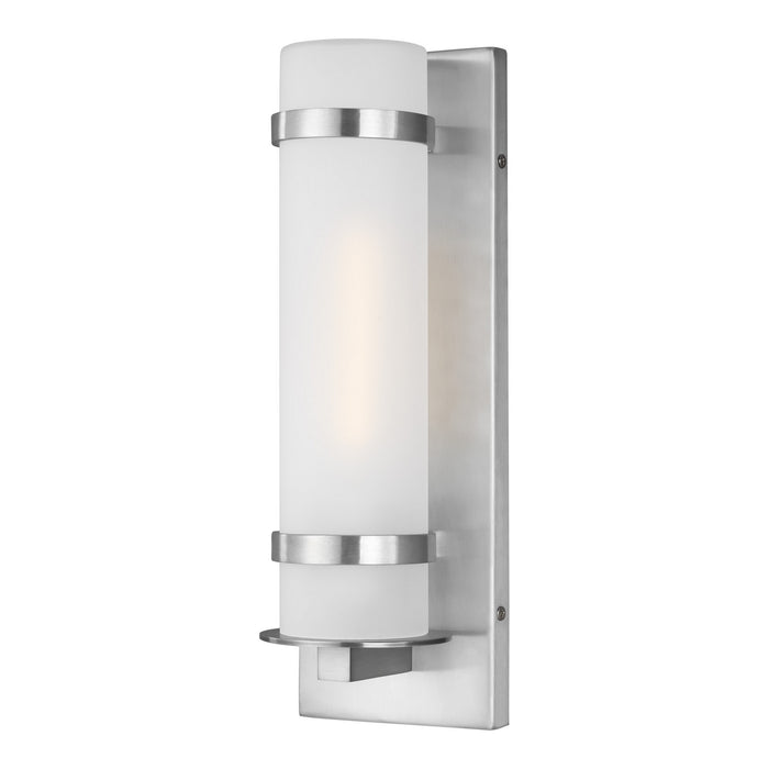 Alban One Light Outdoor Wall Lantern in Satin Aluminum