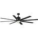 Vast 72" Ceiling Fan in Black