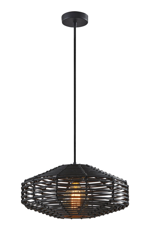 Kingston Pendant in Black Painted