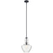 Everly Pendant 1-Light in Black