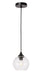 Cashel 1-Light Pendant in Black & Clear Glass