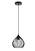 Sayer 1-Light Pendant in Black