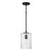 Emerson One Light Pendant in Matte Black