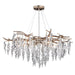 Rainier Five Light Chandelier in Silver Mist