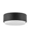 Cedric Two Light Flush Mount in Black by Hinkley Lighting