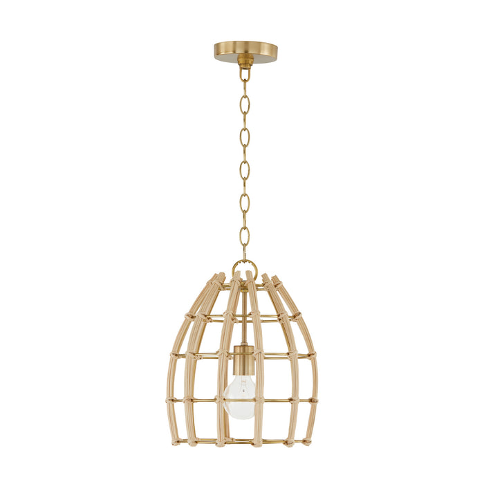 Wren One Light Pendant in Matte Brass