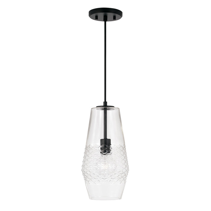 Dena One Light Pendant in Matte Black