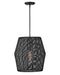 Luca One Light Pendant in Black by Hinkley Lighting