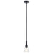 Aivian One Light Mini Pendant in Black