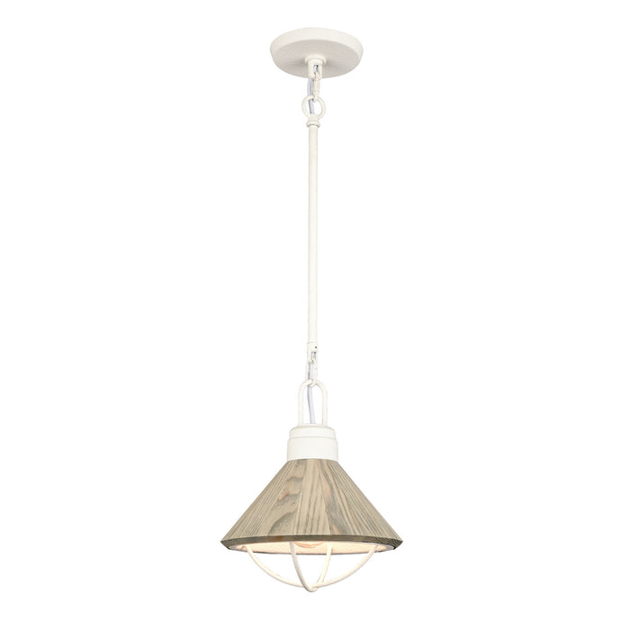 Cape May One Light Mini Pendant in White Coral