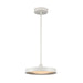 Nancy LED Pendant in Matte White