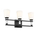 Rosalind Three Light Bath in Black