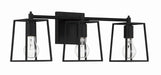 Dunn Three Light Vanity in Flat Black