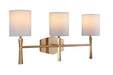 Chatham Three Light Vanity in Satin Brass