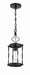 Jolenne One Light Mini Pendant in Flat Black