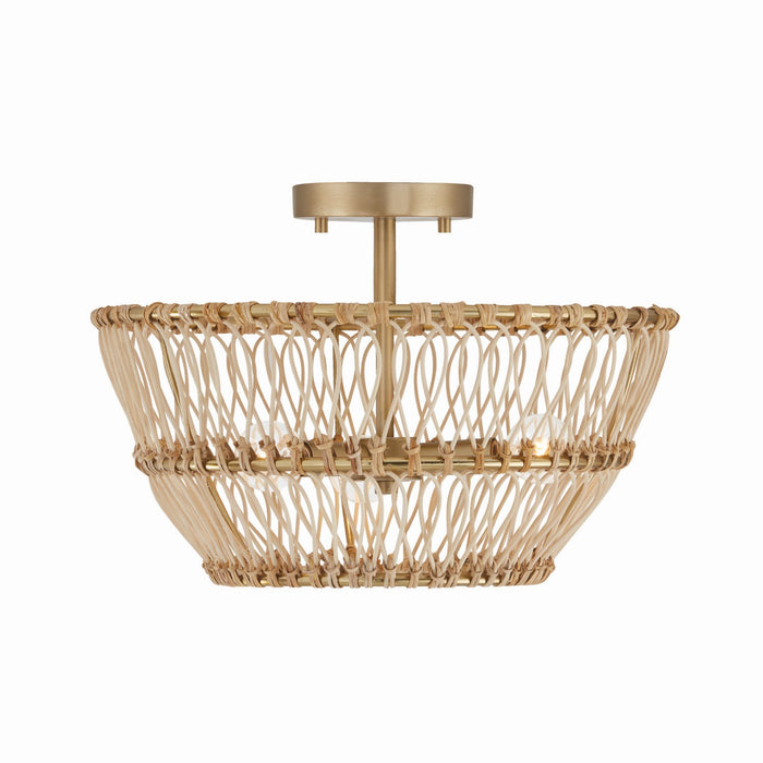 Wren Three Light Semi-Flush Mount in Matte Brass