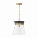 Finn One Light Pendant in Black Stain and Matte Brass